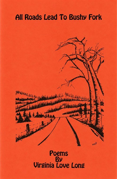 All Roads Lead to Bushy Fork cover