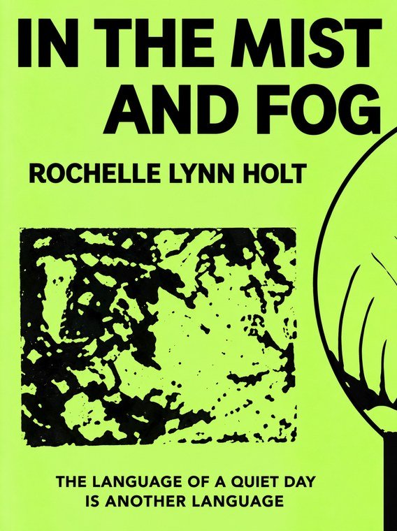 In the Mist and Fog cover